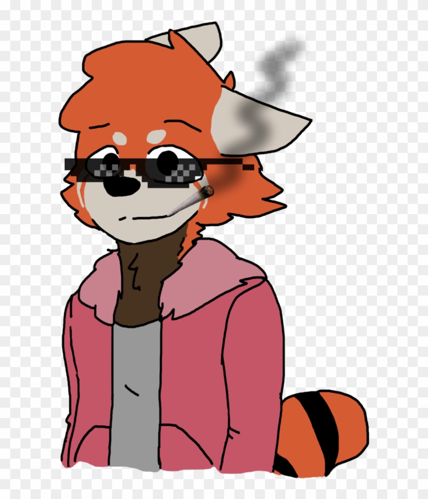 Joey The Dope Red Panda By Joeyredpanda - Red Panda #630035