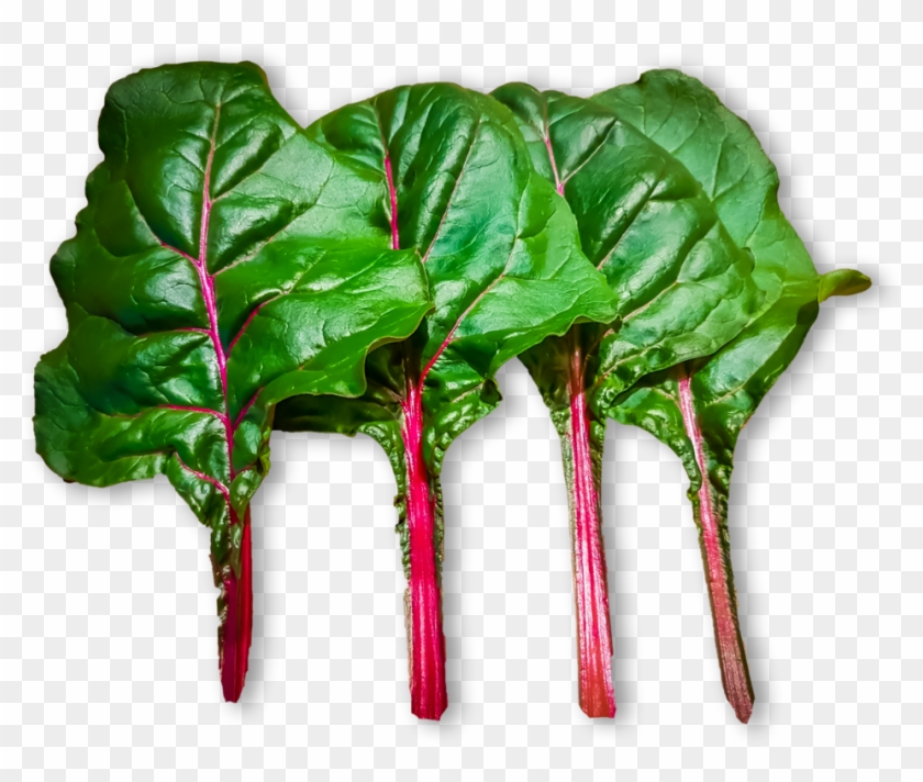 Everything You See On This Website Was Grown Using - Beet Greens #630118
