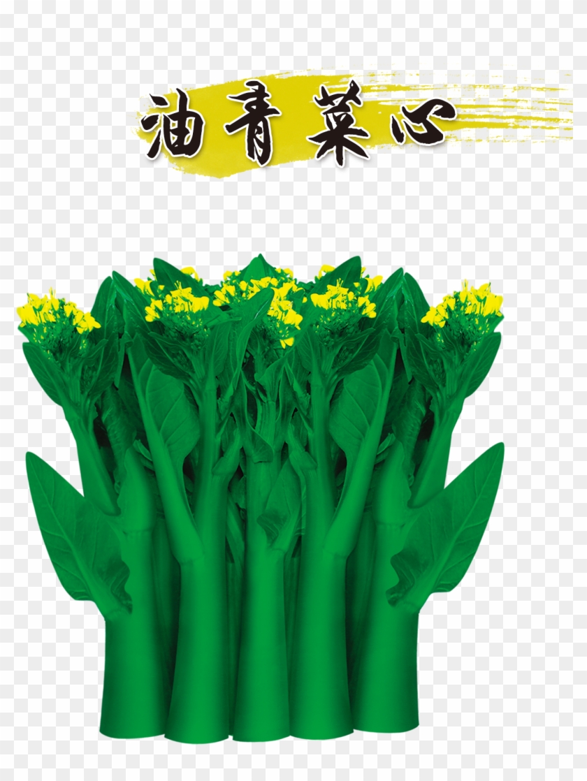 Choy Sum Taobao Vegetable Seed Tmall - Choy Sum Taobao Vegetable Seed Tmall #630291