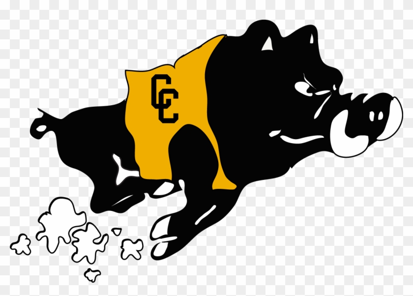 Colquitt County High School Mascot #630258