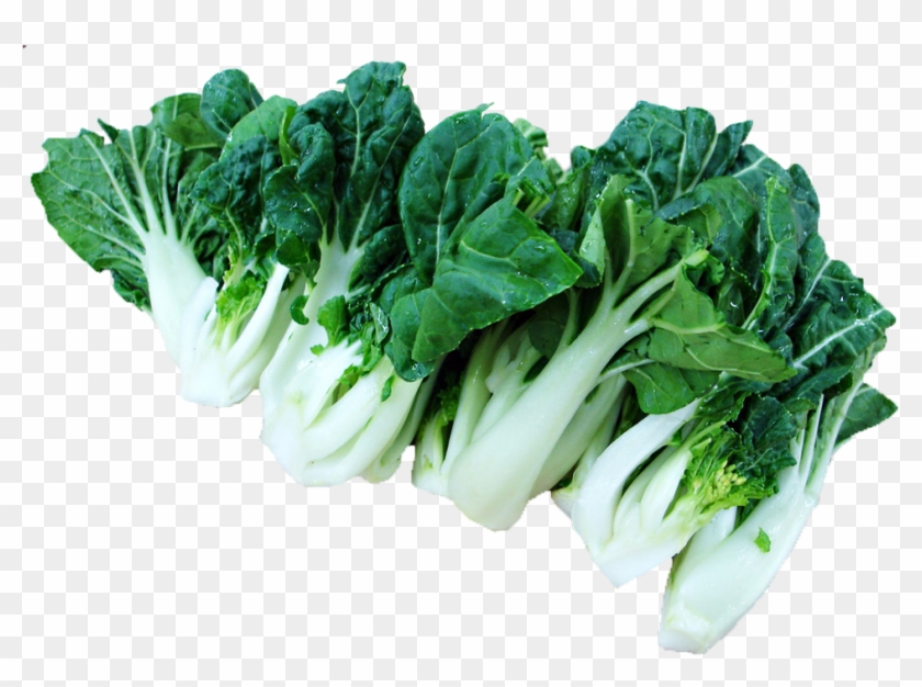 Bok Choy Napa Cabbage Chinese Cabbage Vegetable - Bok Choy Napa Cabbage Chinese Cabbage Vegetable #630415