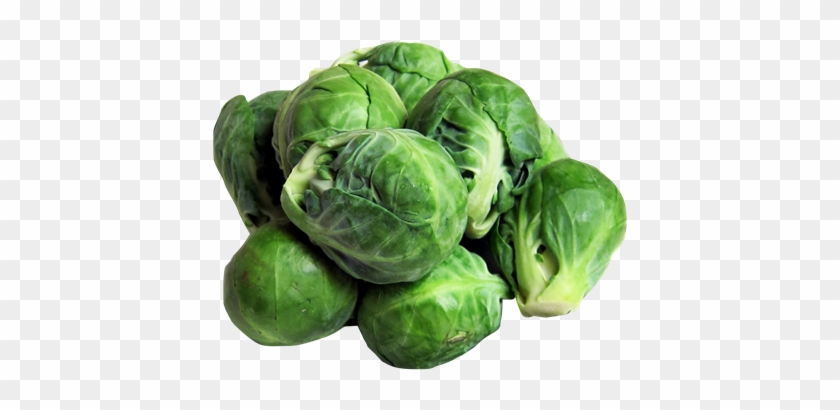 Brussel Sprouts Png #630418