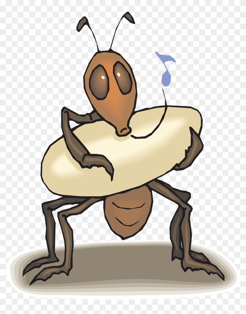 Anteater Queen Ant Clip Art - Anteater Queen Ant Clip Art #630562