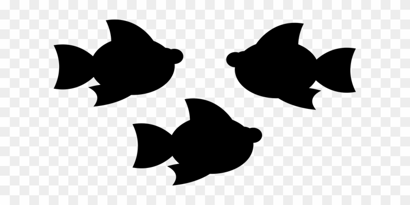 Fish Swarm Animal Marine Silhouette Water - Siluetas De Peces Marinos #630577