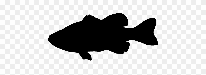 E-guide To Bass Fishing Part Ii - Fish Silhouette No Backgorund #630615