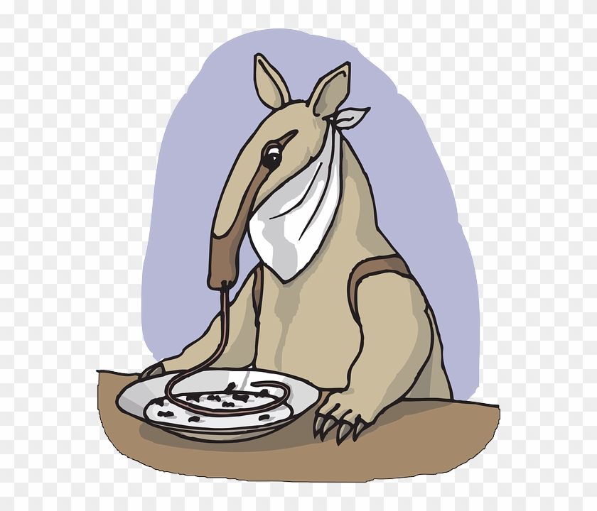 Plate, Table, From, Anteater, Eating, Animal, Eat - Anteater Eating Ants Gif #630720