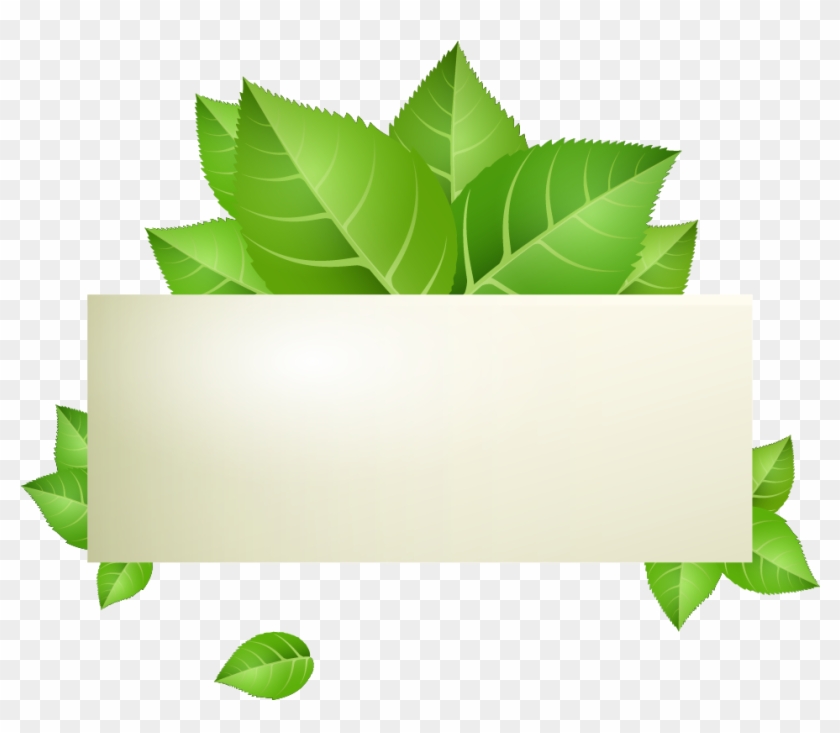 Green Banner Stock - Stock.xchng #630752