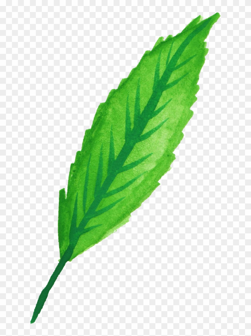 Free Download - Mint Leaf Watercolor Png #630830