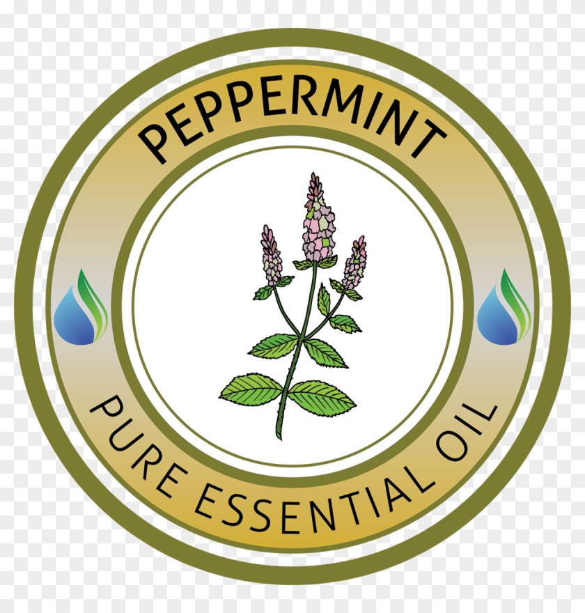 Peppermint Essential Oil - Essential Oil #631074