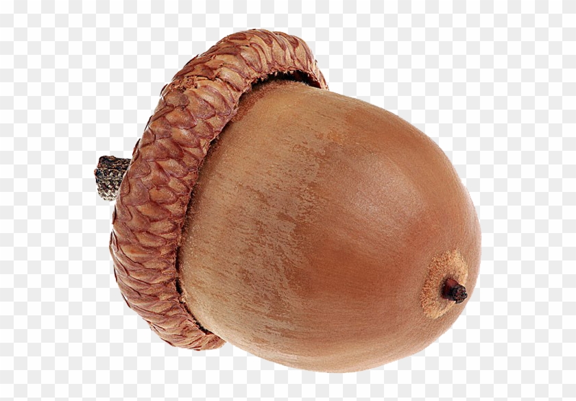 Stock Photography Royalty-free - Stock Photography Royalty-free #631446