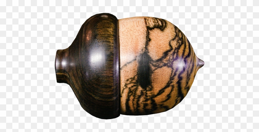 Black & White Ebony Acorn With Asian Ebony Cap - White #631508