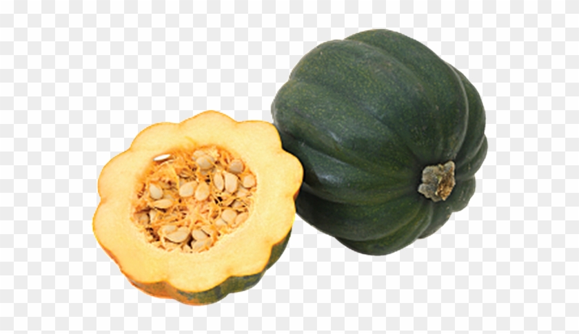 Acorn Squash Png Pic - Png De Frames Transparent Natural #631564