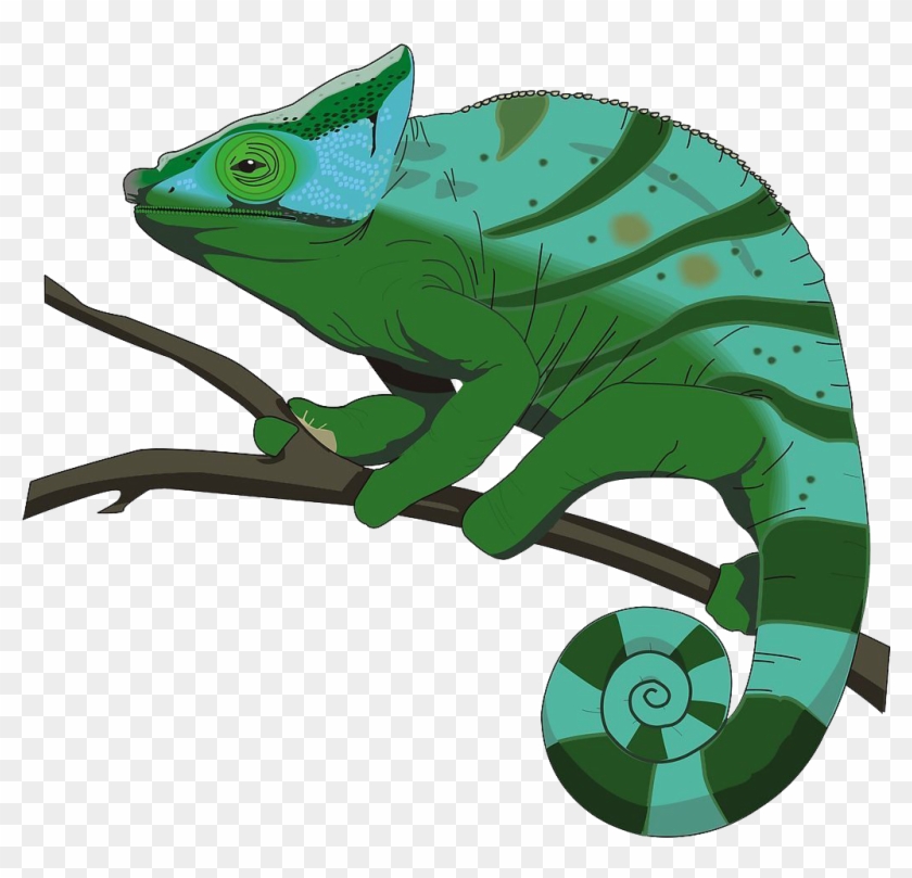 Los Camaleones De Stock - Animated Graphics Chameleon #631699