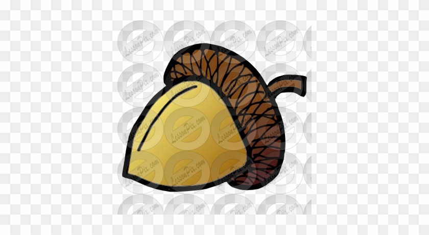 Acorn Picture - Illustration #631743