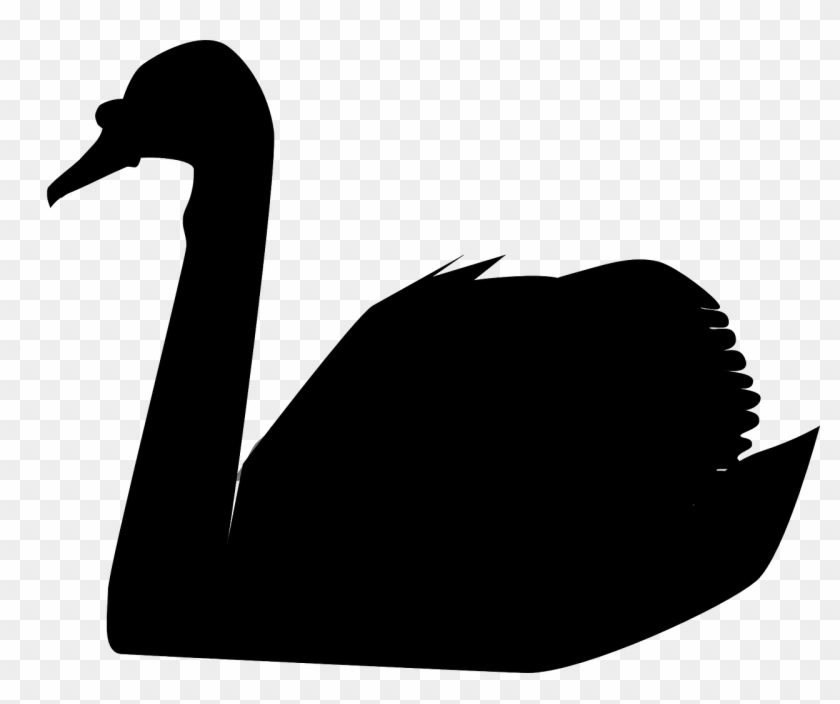 Black Swan In The Data Center Or How To Prepare For - Black Swan Silhouette Png #632746