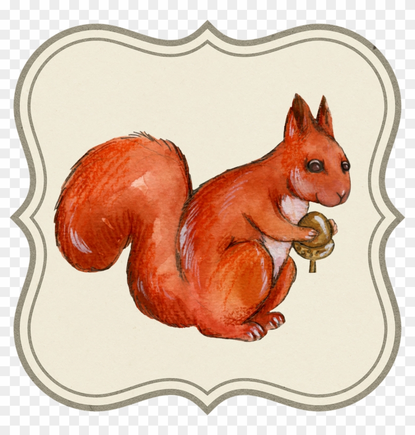 Tag Label Acorn Animal Squirrel Png Image - Tag Label Acorn Animal Squirrel Png Image #632848