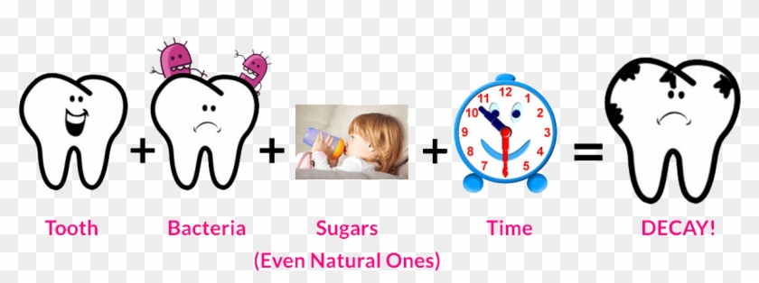 A Tooth Bacteria On The Tooth Exposure To A Carbohydrate - A Tooth Bacteria On The Tooth Exposure To A Carbohydrate #633342