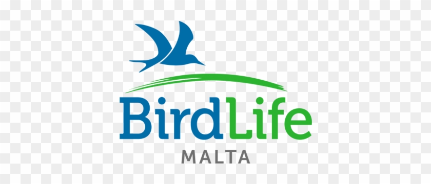 Logo - Birdlife Malta #633407