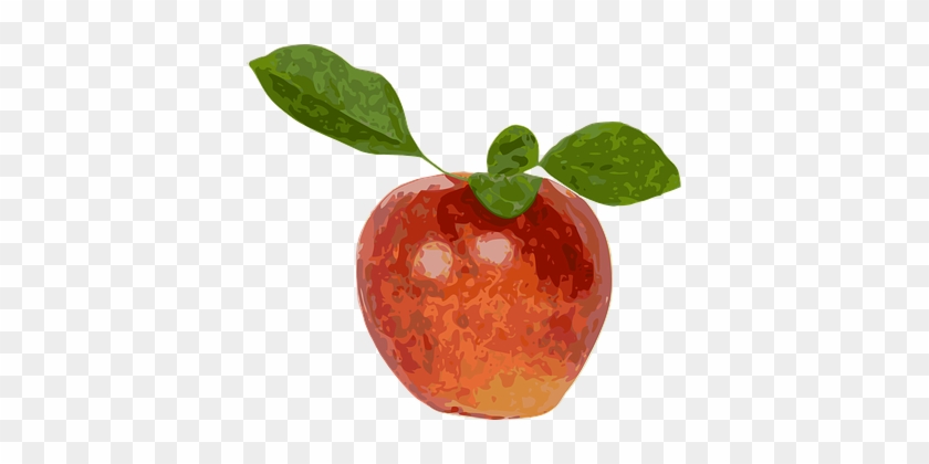 แอปเปิ้ลสีแดง, ผลไม้, แอปเปิ้ล, สี - Manzanas En Fondo Transparente #633473
