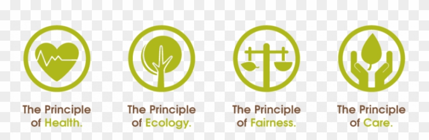 The Health Of Americans Organic Farming Essay Local - Organic Certification #633628