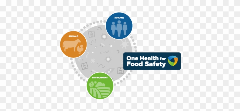 One Health For Food Safety Chain - Health #633708
