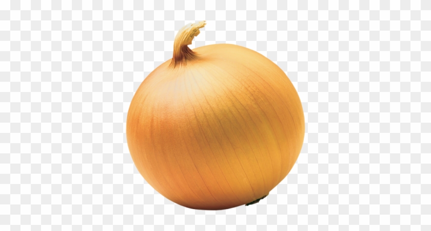 Onion Clipart Transparent - End Of An Onion #633765