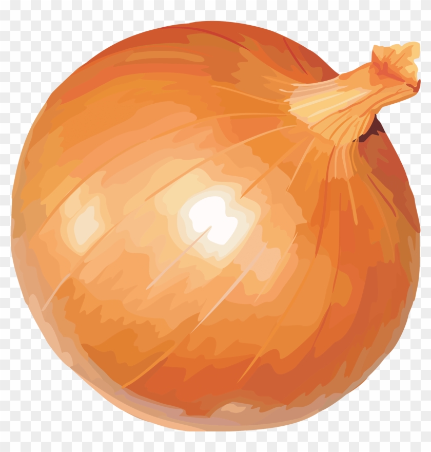 Onion Clipart Large - Onion #633791