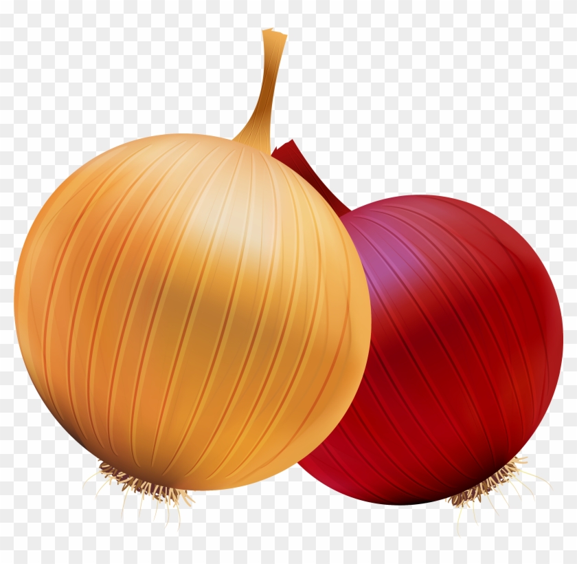 Free Download Of Onion Icon Clipart - Onion Png #633801