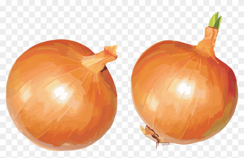Onion Clipart Single - Onions Png #633931