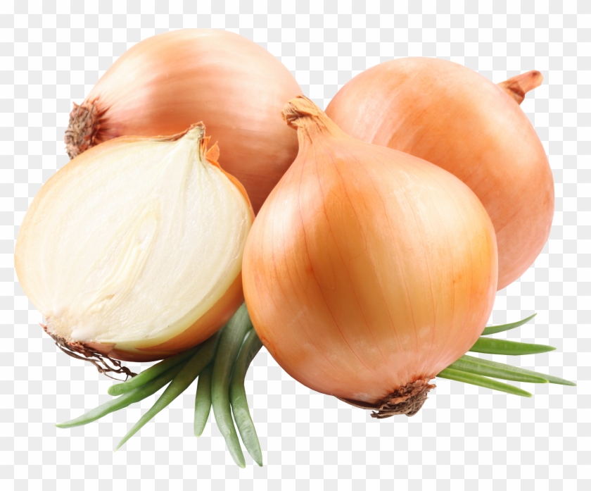 Onion Png Image, Free Download Picture - Onion Png #633975