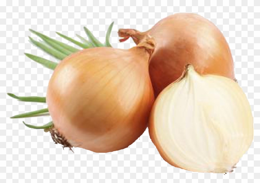 Onion Png Background Clipart - Hirt's Gardens Hybrid Candy Onion - 20 Plants - Incredibly #634100