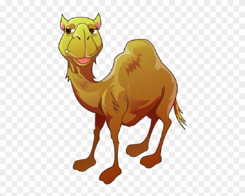 Funny Cartoon Camel Clip Art Images - Camel Clipart #112198