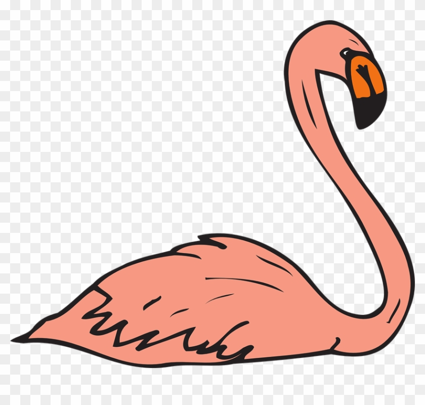 Pink Bird Swimming Wings Flamingo Long Neck - Flamingo Swimming Clipart #112419