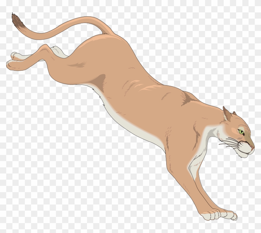 Mountain Lion Free Vector - Cougar Clip Art #113958