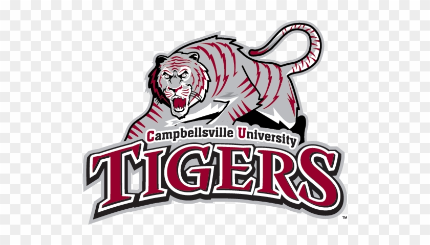 Campbellsville University Tigers, Naia/m - Campbellsville University Tigers #114511