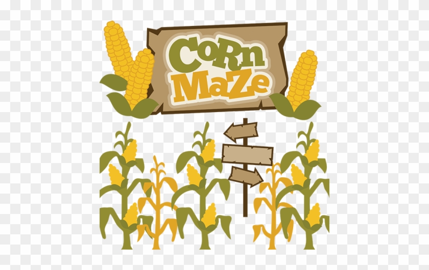 Senior Youth Group Corn Maze And Lock In Second Presbyterian - Corn Maze #114633