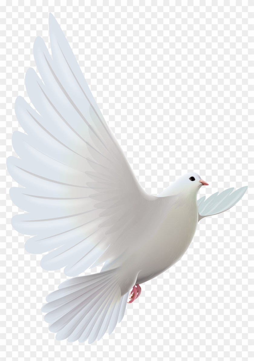 White Dove Transparent Png Clipartu200b Gallery Yopriceville - White Pigeon Flying Png #115152