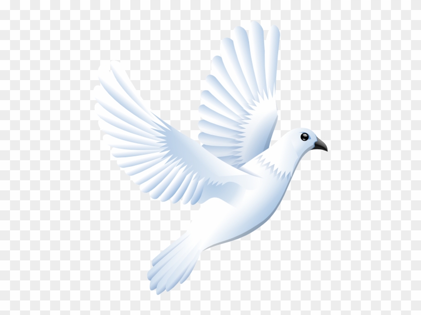 Dove Clip Art - White Bird Vector Png #115154