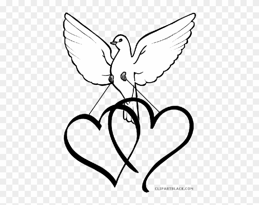 White Dove Animal Free Black White Clipart Images Clipartblack - Light Blue Love Heart #115203