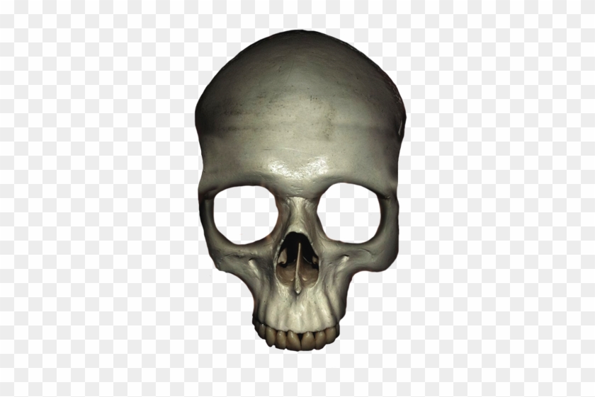 Head Skull With Crown, Human Head Skull Clipart - Skull #115633