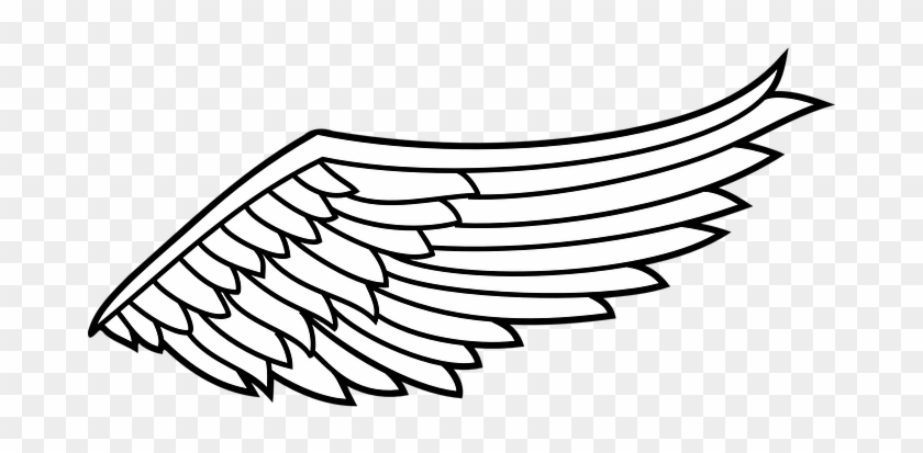 Wing Flight Angel Spiritual Flying Spiritu - Right Angel Wing Clipart #116925