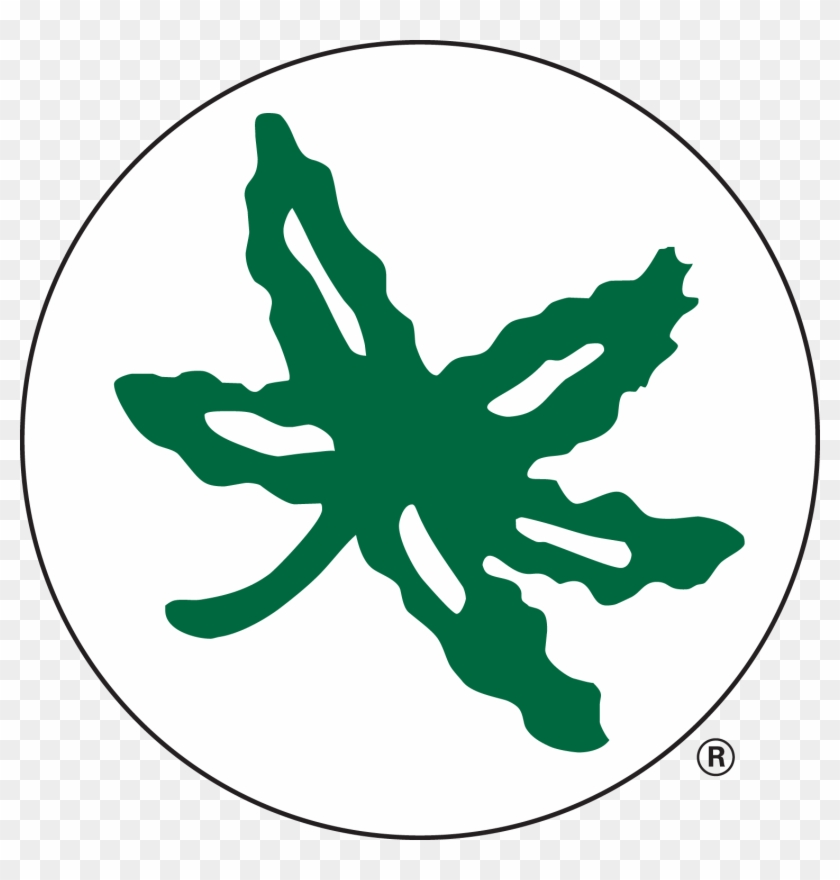 Buckeye Leaf Clip Art Gallery Ohio State Buckeye Sticker Free buckeye-leaf-clip-art-gallery-ohio-state-buckeye-sticker-free