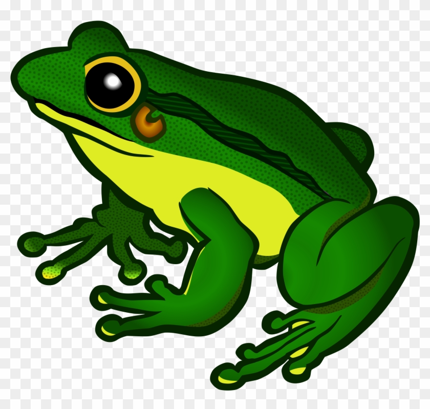 Frog Clipart Png - Frog Png Clipart #119011