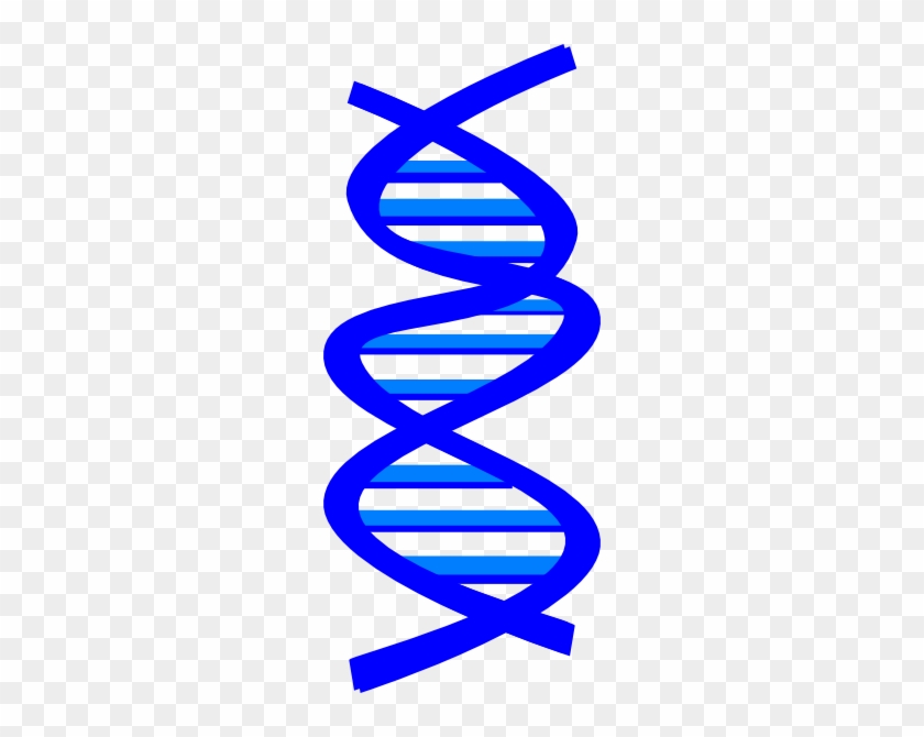 Dna Clip Art Dna Clip Art At Clker Vector Clip Art - Dna Clip Art #119232