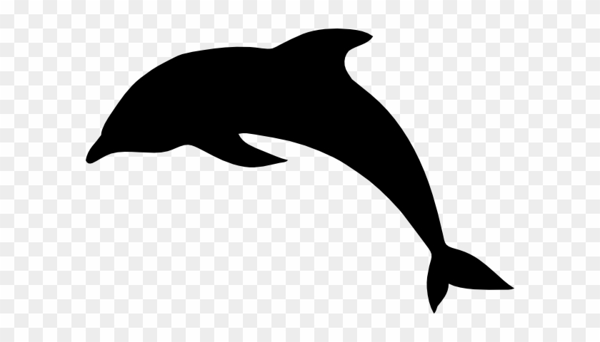 Dolphin Outline - Dolphin Black And White #119233
