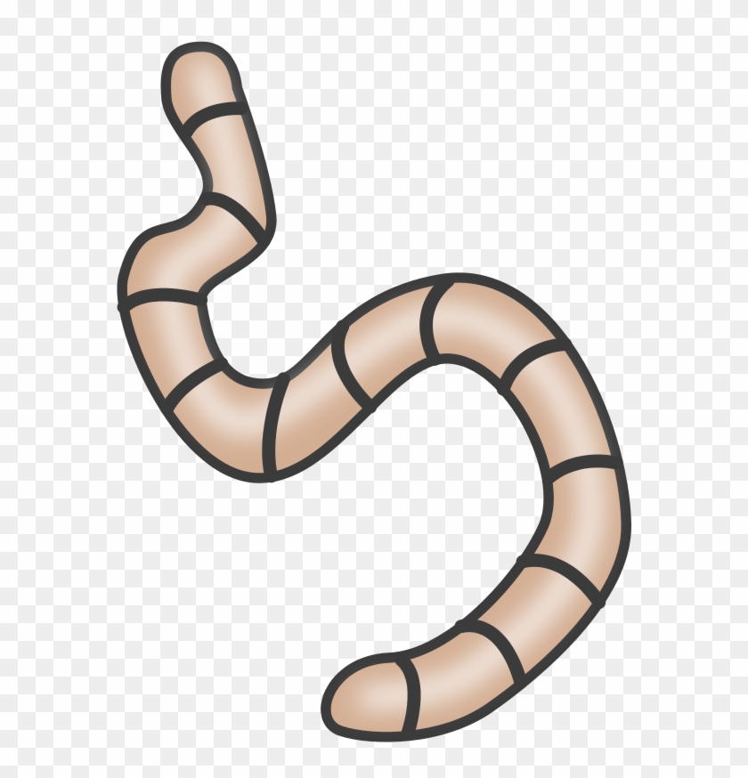 Earthworms - Decomposer Clipart #119304