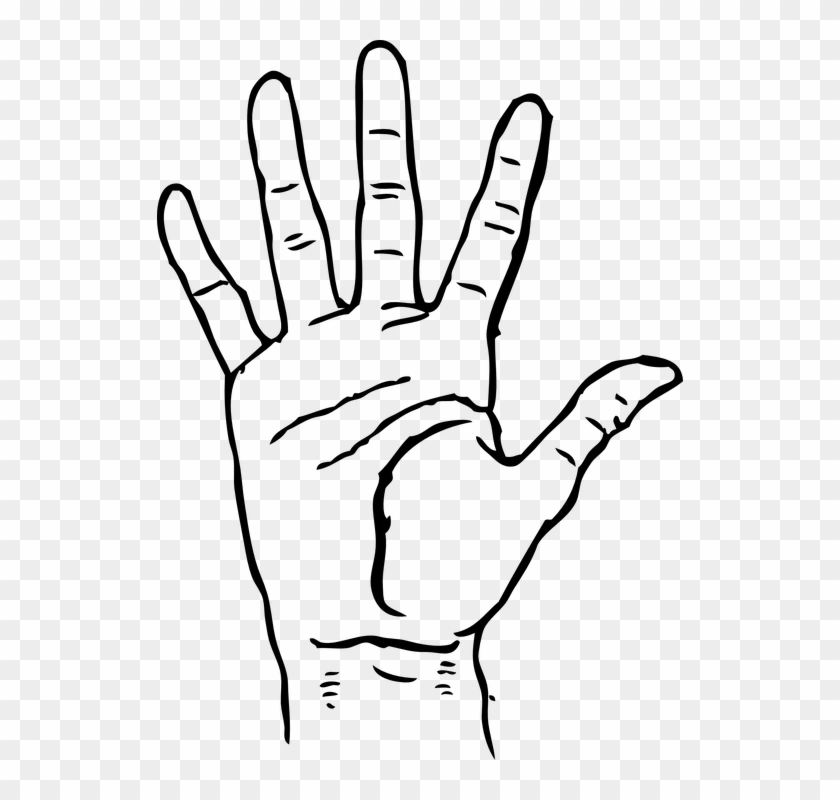 Palm Hand Human Fingers Five Gesture 5 Count - Hand Palm Clip Art #119636
