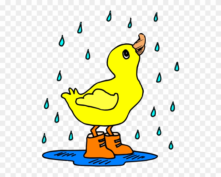 Duck In Rain Boots #119768