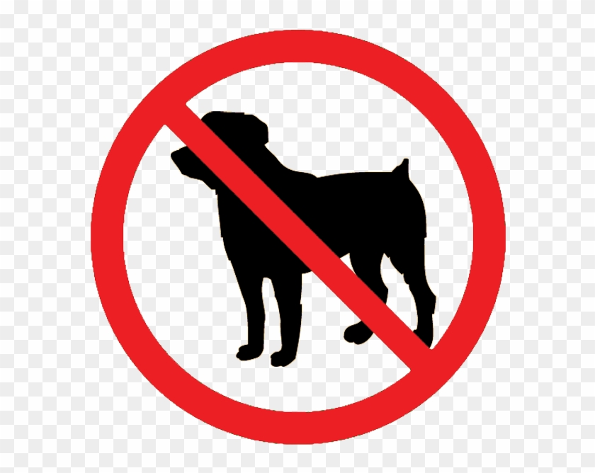 Dogs Allowed Clipart - No Dogs Allowed Sign #120221