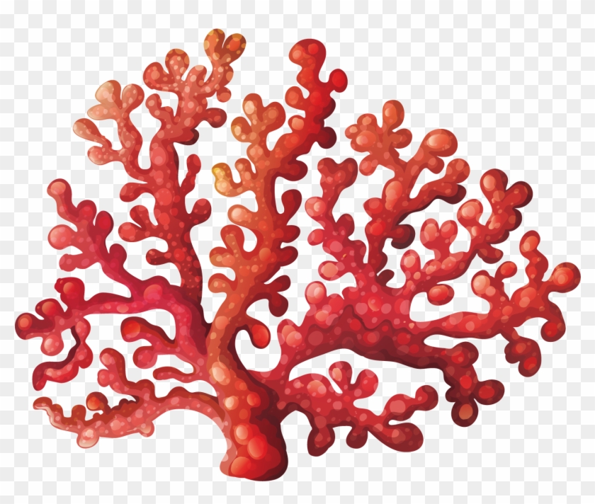 Coral Reef Royalty-free Clip Art - Coral Reef Clipart #120502